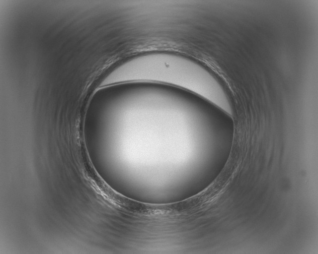 X0000056010585200508190856