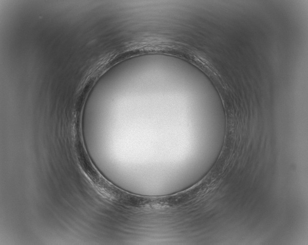 X0000056010586200508190856
