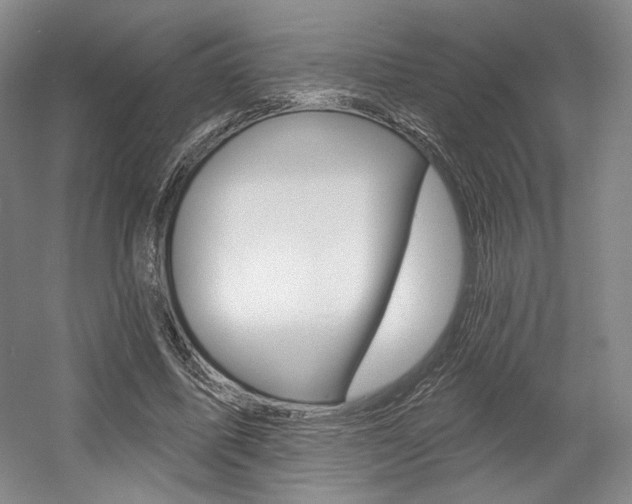 X0000056010587200508190856