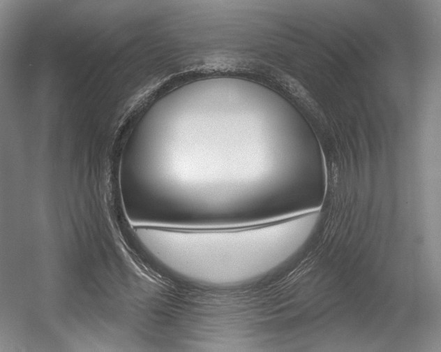 X0000056010588200508190856