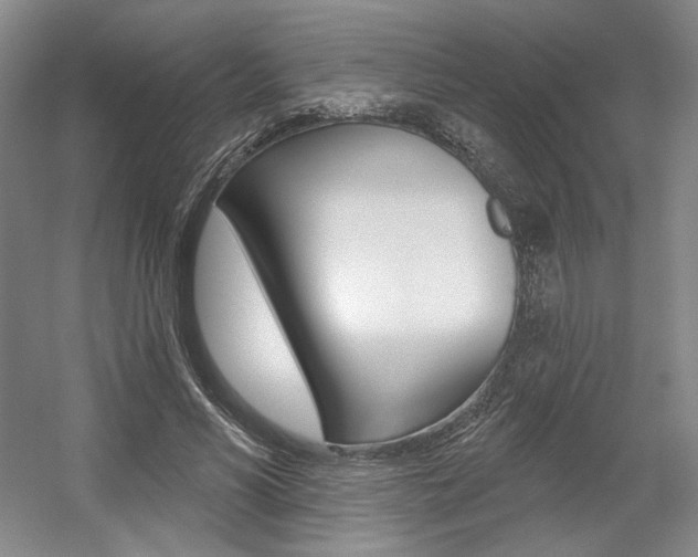 X0000056010590200508190856