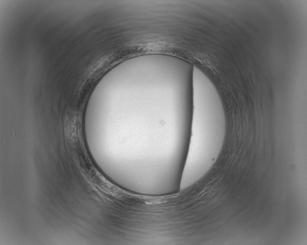 X0000056010591200508190856