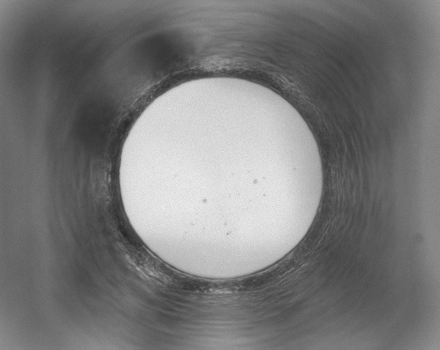 X0000056010592200508190856