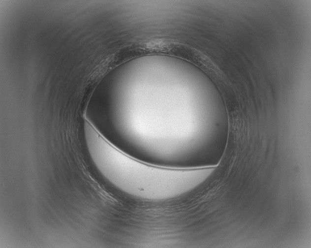 X0000056010593200508190856