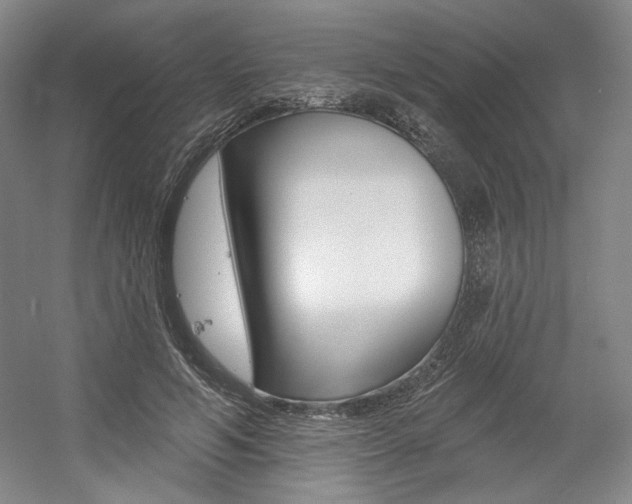 X0000056010594200508190856