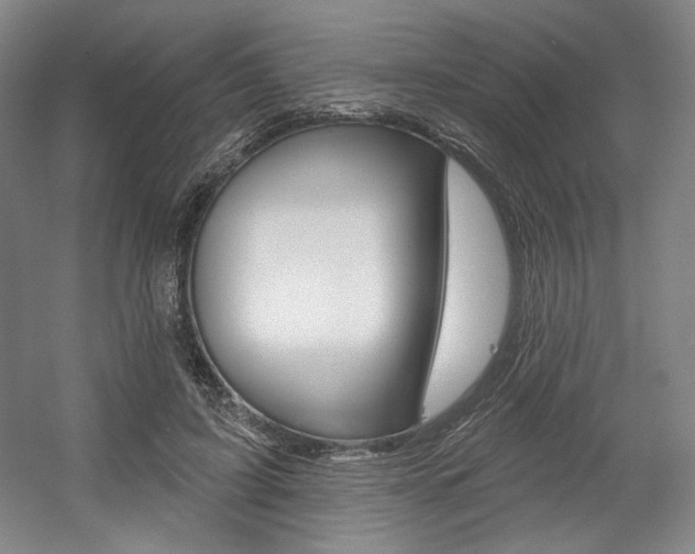 X0000056010595200508190856