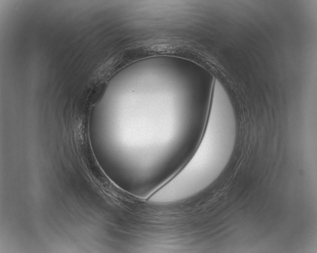 X0000056010597200508190856