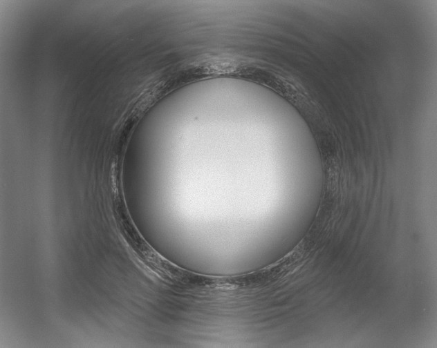 X0000056010598200508190856