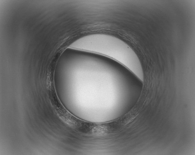 X0000056010599200508190856