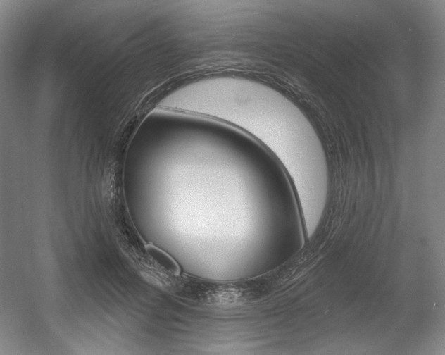 X0000056010600200508190856
