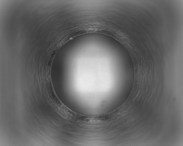 X0000056010601200508190856