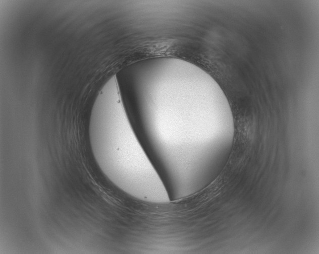 X0000056010602200508190856