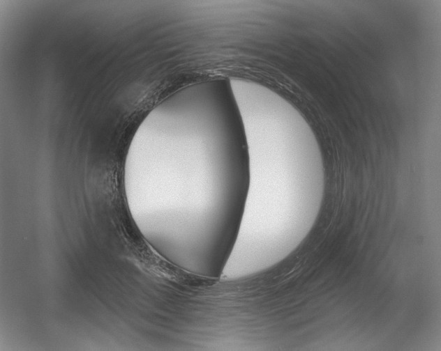 X0000056010603200508190856