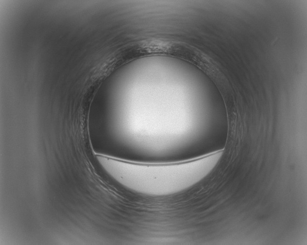 X0000056010604200508190856