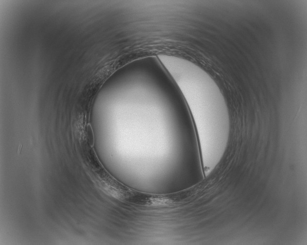 X0000056010605200508190856