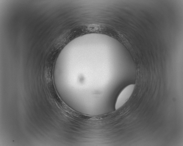X0000056010606200508190856