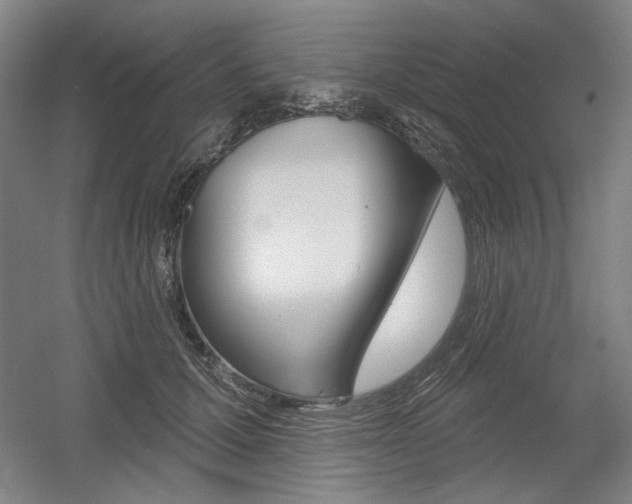 X0000056010607200508190856