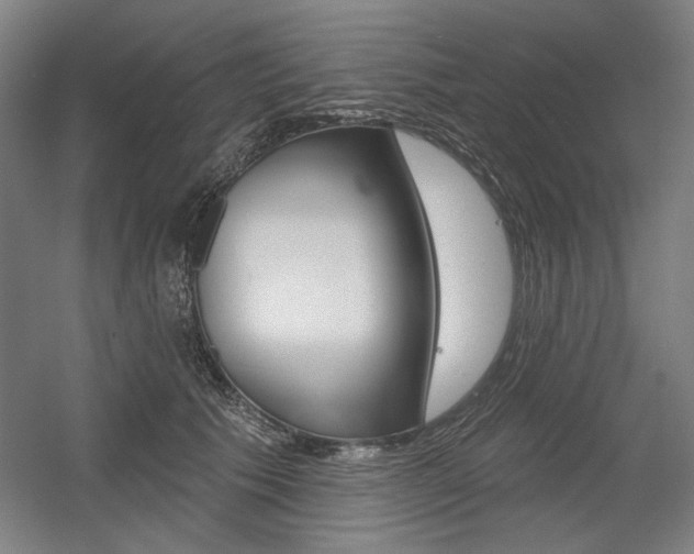 X0000056010609200508190856