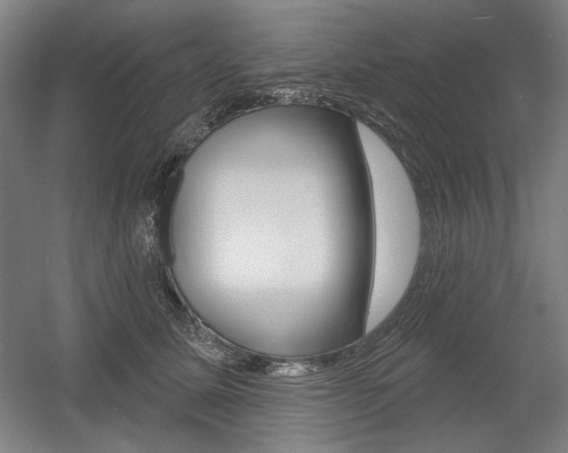 X0000056010611200508190856