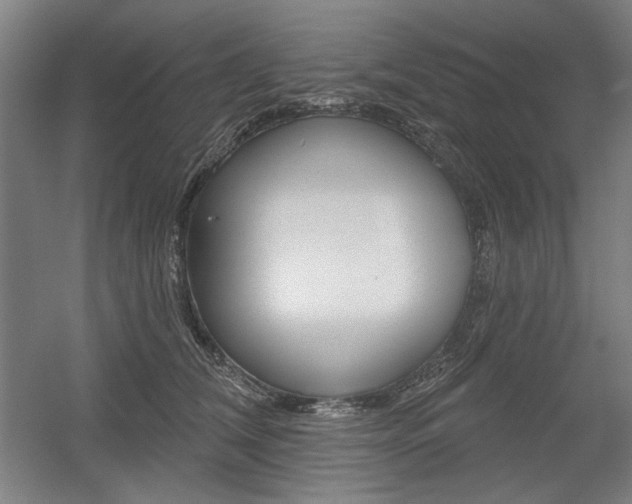 X0000056010612200508190856