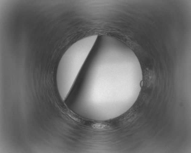 X0000056010614200508190856
