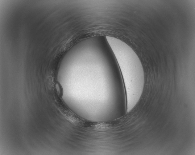 X0000056010615200508190856