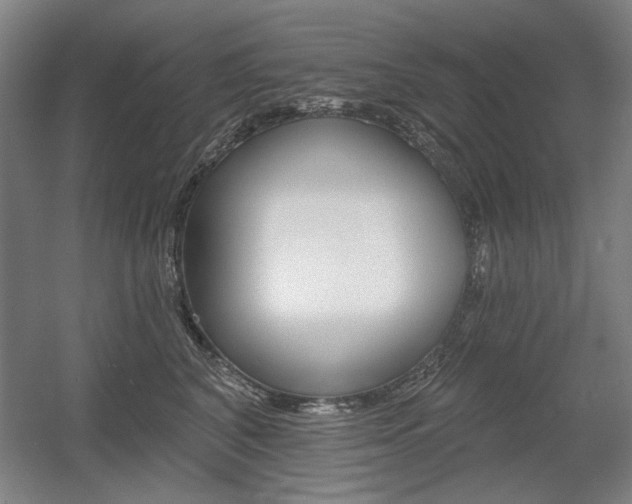 X0000056010616200508190856