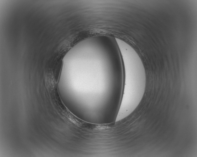 X0000056010617200508190856