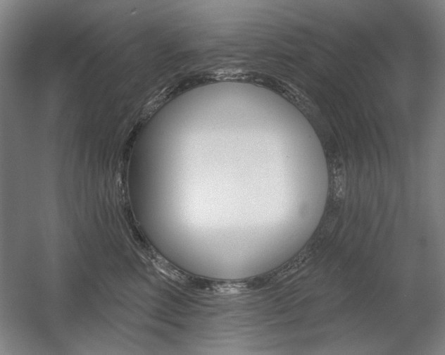 X0000056010618200508190856