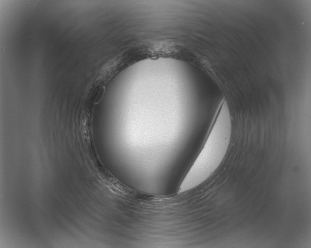 X0000056010619200508190856