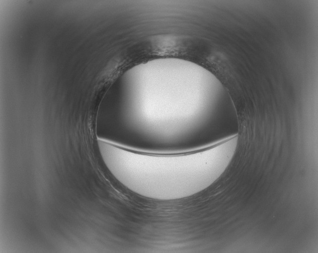 X0000056010620200508190856