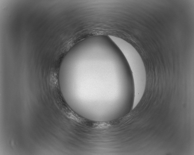 X0000056010621200508190856