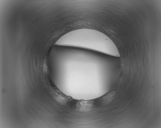X0000056010622200508190855