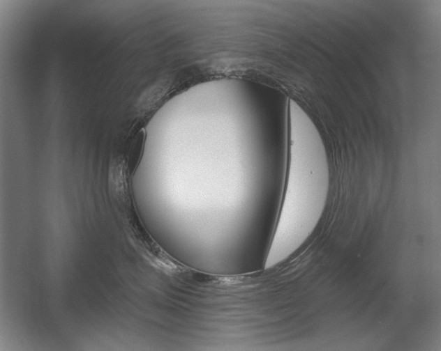 X0000056010623200508190855