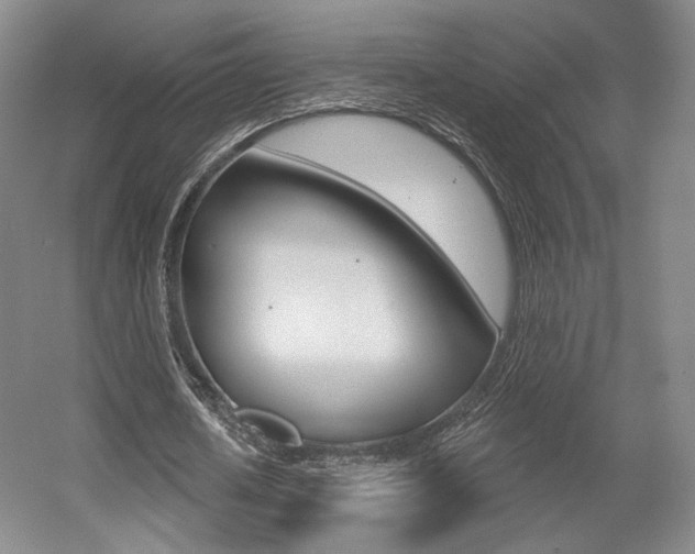 X0000056010626200508190855