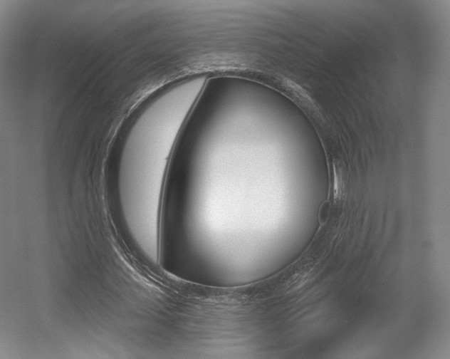X0000056010627200508190855