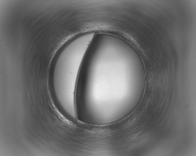 X0000056010629200508190855