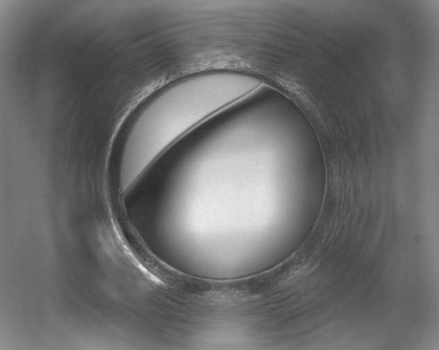 X0000056010630200508190855