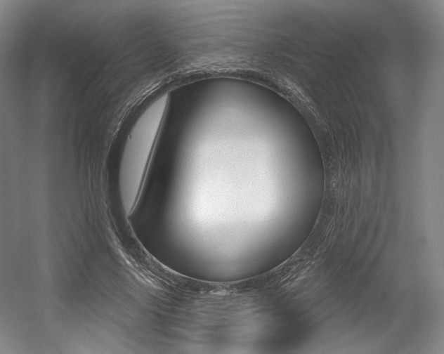 X0000056010635200508190855