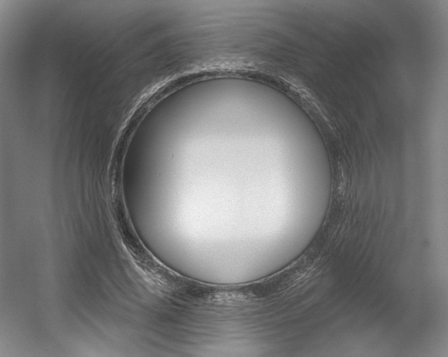 X0000056010636200508190855