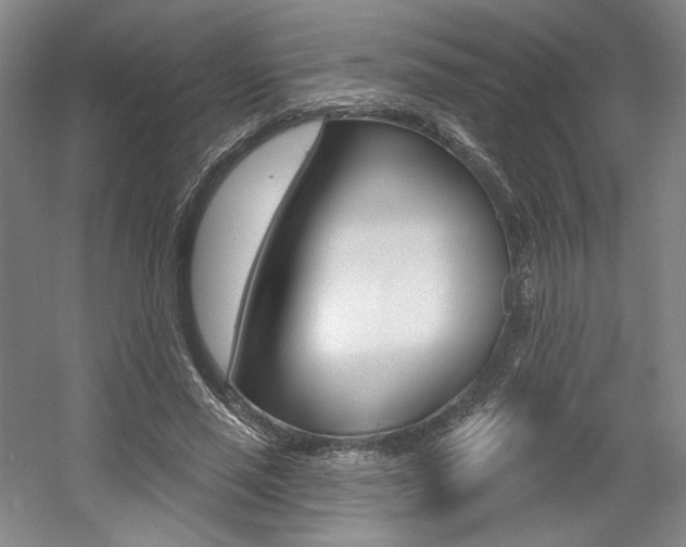 X0000056010637200508190855