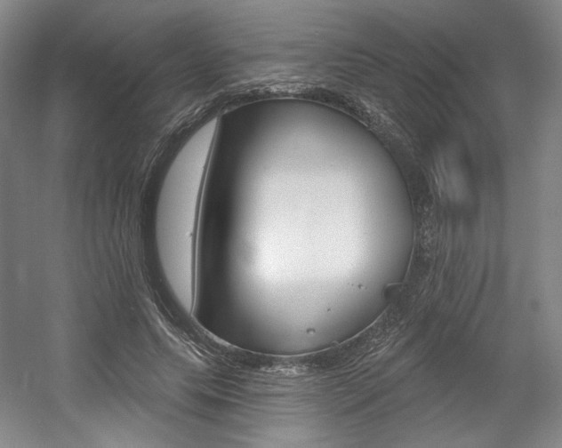 X0000056010639200508190855