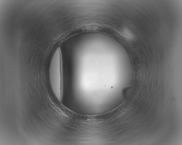 X0000056010641200508190855