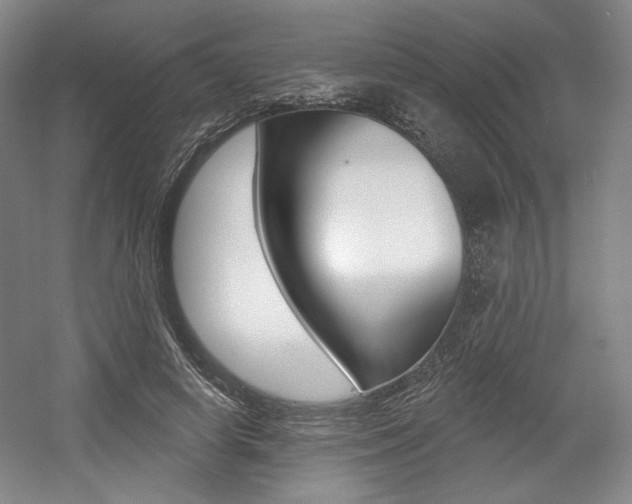 X0000056010642200508190855