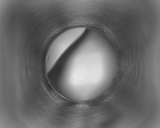 X0000056010644200508190855