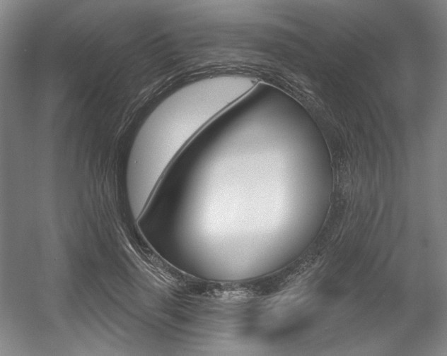 X0000056010645200508190855