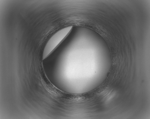 X0000056010646200508190855