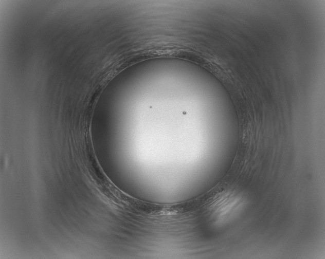 X0000056010647200508190855