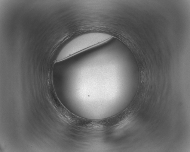 X0000056010648200508190855