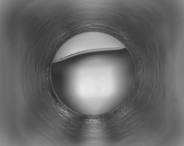 X0000056010649200508190855